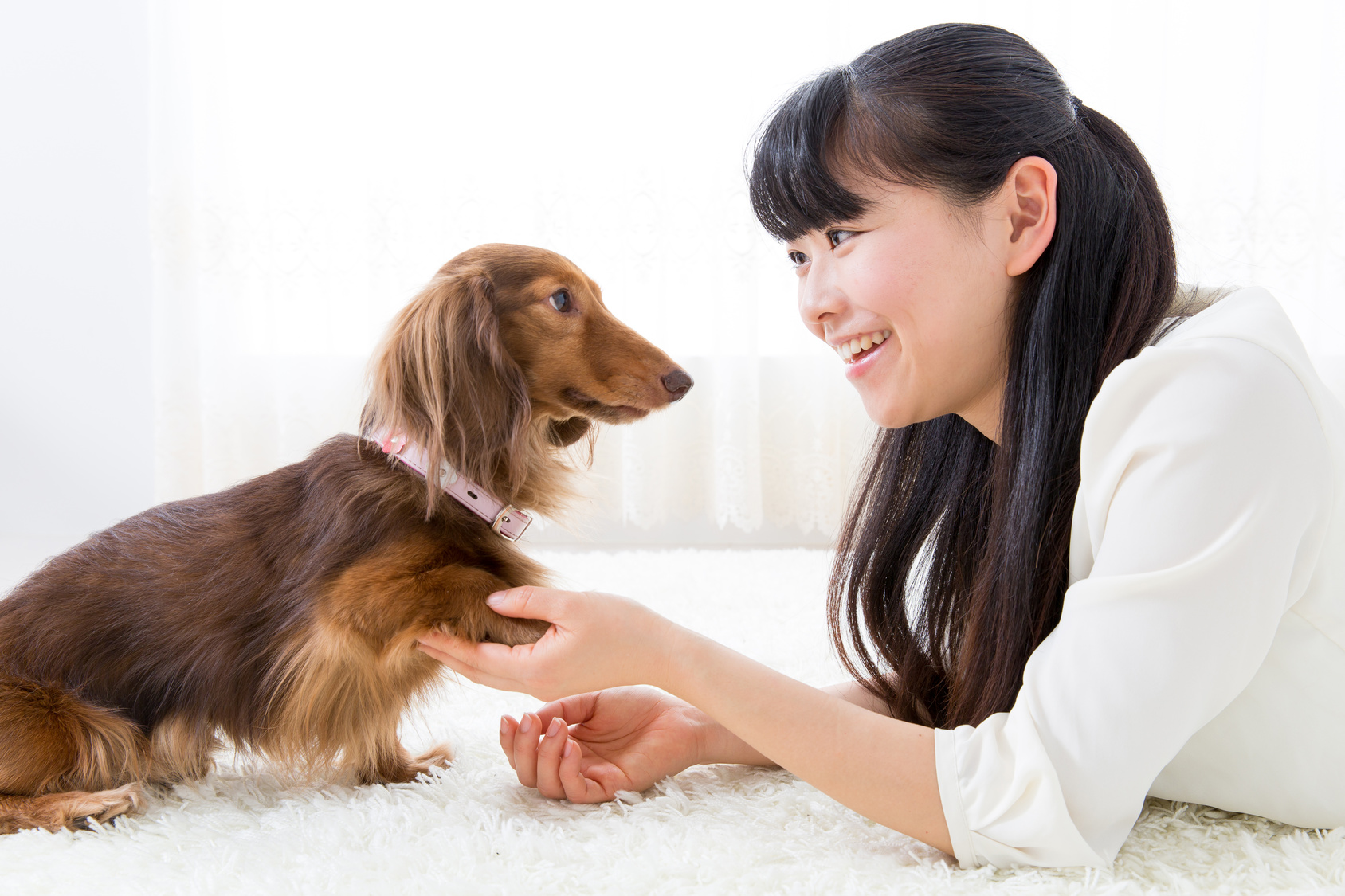 犬は顔に顔を近づけられることを嫌がりしますが、これはなぜでしょうか 横浜市南区のペットケア